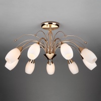 Потолочная люстра Eurosvet 22080/9 золото  фото, kupilegko.ru