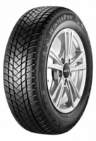 Автомобильные зимние шины GT Radial Champiro WinterPro 2 215/55 R17 98V  фото, kupilegko.ru