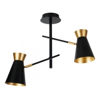 Потолочная люстра IMEX MD.78853-2-S BK+FGD  фото, kupilegko.ru