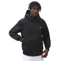 Куртка DICKIES NEW SARPY JACKET DK0A4XG8 362146 SP  фото, kupilegko.ru