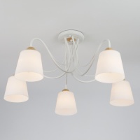 Потолочная люстра Eurosvet 70062/5 белый  фото, kupilegko.ru