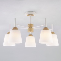 Потолочная люстра Eurosvet 70085/5 белый  фото, kupilegko.ru