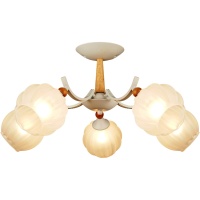 Потолочная люстра Reluce 04511-0.3-05  фото, kupilegko.ru