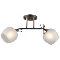 Потолочная люстра IMEX MD.5996-2-S-COFFEE+FGD  фото, kupilegko.ru