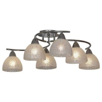 Потолочная люстра Lussole Zungoli GRLSF-1603-06  фото, kupilegko.ru