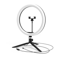 Кольцевой светодиодный светильник Gauss Ring Light RL003  фото, kupilegko.ru