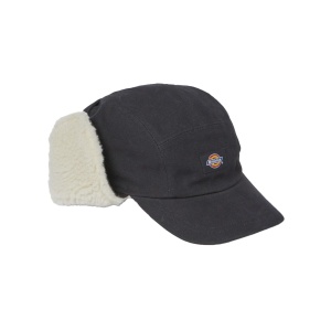 Шапка DICKIES Duck Canvas King Cove Lumberjack Hat DK0A4Y4M 363022 SP  фото, kupilegko.ru