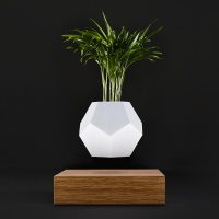 Lyfe Walnut/White Кашпо левитирующее Flyte  фото, kupilegko.ru