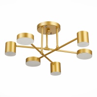 Потолочная светодиодная люстра Evoluce SLE201022-06  фото, kupilegko.ru