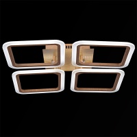 Потолочная светодиодная люстра Reluce 08822-0.3-04LED  фото, kupilegko.ru