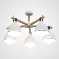 Потолочная люстра Imperium Loft Flan 178009-26  фото, kupilegko.ru