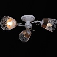 Потолочная люстра Reluce 31220-0.3-03  фото, kupilegko.ru