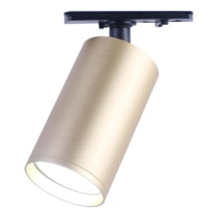 Трековый светильник ЭРА TR39-GU10 MG Б0053312  фото, kupilegko.ru