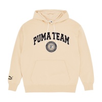 Толстовка худи PUMA Puma Team Hoodie TR PM539170 339405 SP  фото, kupilegko.ru