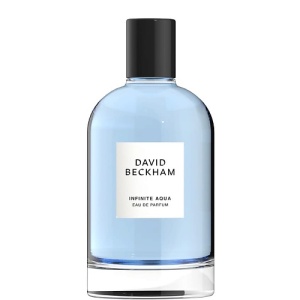 Мужская парфюмерная вода DAVID BECKHAM Collection Infinite Aqua 112200557 LT  фото, kupilegko.ru