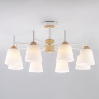 Потолочная люстра Eurosvet 70085/8 белый  фото, kupilegko.ru