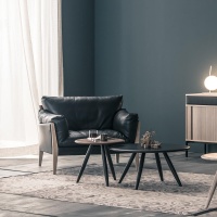 Diana Кресло Ritzwell  фото, kupilegko.ru