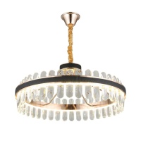 Подвесная светодиодная люстра Aployt APL.027.03.102  фото, kupilegko.ru