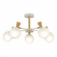 Потолочная люстра Evoluce Catania SLE220702-05  фото, kupilegko.ru