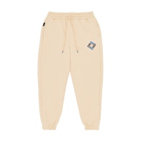 Спортивные штаны PUMA SWxP Sweatpants TR PM535662 338829 SP  фото, kupilegko.ru