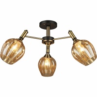 Потолочная люстра Reluce 03624-0.3-03  фото, kupilegko.ru