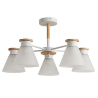 Потолочная люстра Arte Lamp Tyler A1031PL-5WH  фото, kupilegko.ru