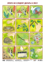 ПЛ Этого не следует делать в лесу. Николаева С. Н  фото, kupilegko.ru