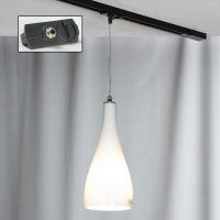 Трековый светильник Lussole Rimini LSF-1106-01-TAB  фото, kupilegko.ru