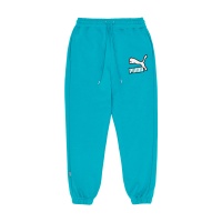 Спортивные штаны PUMA Fandom Sweatpants TR PM536113 338955 SP  фото, kupilegko.ru