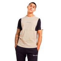 Футболка CHAMPION T-SHIRTS CH218426 338386 SP  фото, kupilegko.ru