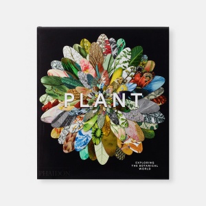 Plant: Exploring the Botanical World Книга Phaidon  фото, kupilegko.ru