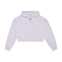 Толстовка худи ADIDAS ADICOLOR ESSENTIALS ADGN4775 316853 SP  фото, kupilegko.ru