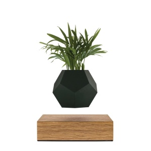 Lyfe Oak/Black Кашпо левитирующее Flyte  фото, kupilegko.ru