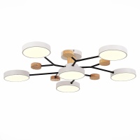 Потолочная светодиодная люстра Evoluce FAEMA SLE6006-502-06  фото, kupilegko.ru