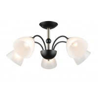 Потолочная люстра IMEX MD.4188-5-S-BK+AB  фото, kupilegko.ru