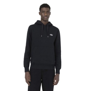 Толстовка DICKIES SUMMERDAL LIGHT GRAY DK0A4Y6P 362909 SP  фото, kupilegko.ru