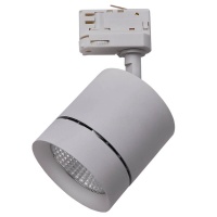 Трековый светодиодный светильник Lightstar Canno Led 301594  фото, kupilegko.ru