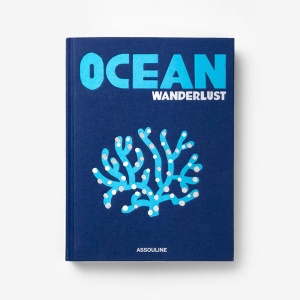 Travel Ocean Wanderlust Книга Assouline  фото, kupilegko.ru