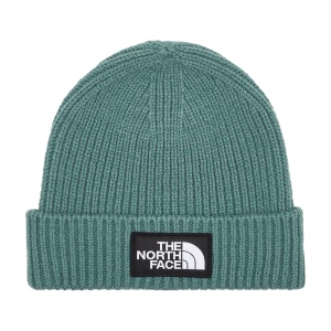 Шапка NORTH FACE LOGO BOX CUFFED BEANIE NF0A3FJX 366033 SP  фото, kupilegko.ru