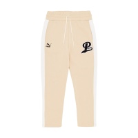 Спортивные штаны PUMA Puma Team Sweatpants FL PM538954 339399 SP  фото, kupilegko.ru