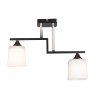 Потолочная люстра IMEX MD.5702-2-S-COFFEE+FGD  фото, kupilegko.ru