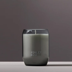 Parakeets & Pearls Свеча Ashley & Co  фото, kupilegko.ru