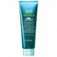 Крем-уход для кожи головы Theo Scalp Treatment Ice Mint (1221, 240 мл)  фото, kupilegko.ru