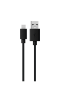 Кабель Everstone USB Type-C 1м EV-CAB-A/C-1-RND-Black, черный  фото, kupilegko.ru