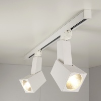 Трековые светильники Elektrostandard Perfect Perfect Белый 38W 3300K (LTB13) трехфазный  фото, kupilegko.ru