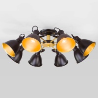 Потолочная люстра Eurosvet Denley 70112/8 черный  фото, kupilegko.ru