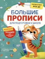 Большие прописи для подготовки к школе. Шестакова И.Б.  фото, kupilegko.ru
