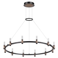 Подвесная светодиодная люстра Odeon Light 5009/48L  фото, kupilegko.ru