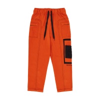 Спортивные штаны PUMA WAL WKR WR Pants PM536320 339125 SP  фото, kupilegko.ru