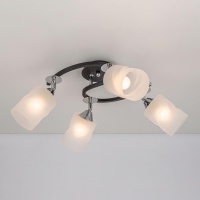 Потолочная люстра Citilux Сиерра CL119241  фото, kupilegko.ru